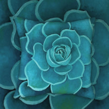 Load image into Gallery viewer, Teal Succulent Throw Pillow